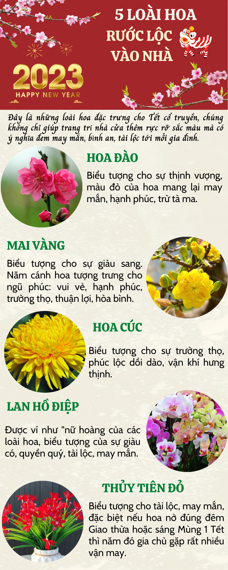 5 LOÀI HOA ĐẸP đặc trưng cho tết cổ truyền -BẢN CUỐI_1704250772.png